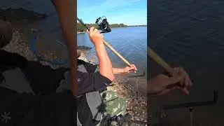 Лещ на заказ!