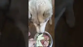 исправляюсь, 