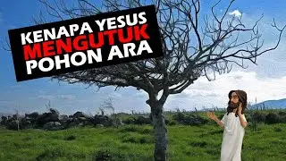 KENAPA YESUS MENGUTUK POHON ARA YANG TIDAK BERBUAH KETIKA BUKAN MUSIM BUAH ARA