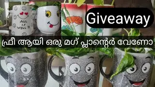 Giveaway || Mug Planter || Green Planet || 29 May 2023