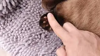 Effective Nail Button