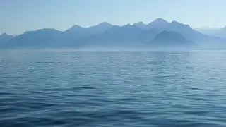 Пение птиц ранним утром. Ровная гладь лесного озера.
