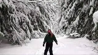 Crunch, Crunch Through the Snow