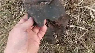 АВСТРИЙСКАЯ БАЛКА-II.