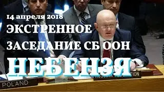 14 апреля 2018. Василий Небензя. Совет Безопасности ООН