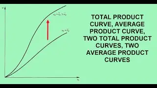 Product Curves: Average and Total