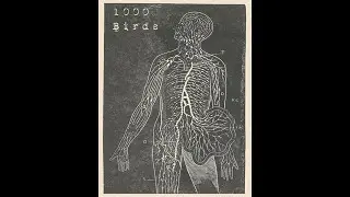One Thousand Birds (US) - - Sleep Study 11.11.17 (Demo 2017)
