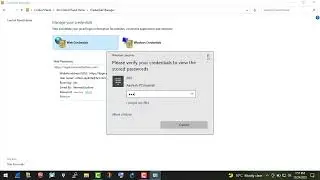 How to View Passwords in Credential Manager