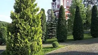 5 ноября 2019 г.