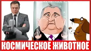 Биокорабль с животными от роскосмоса! Илон Маск показал робота хирурга Neuralink!