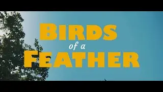 BIRDS OF A FEATHER - PUGET SOUND KIDNEY CENTERS