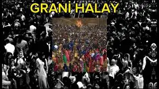 Grani Halay 2024