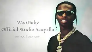 Pop Smoke - Woo Baby ft. Chris Brown (Official Studio Acapella)