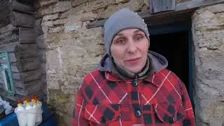 Стелла окотила красоту