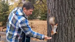 Птицей по небу