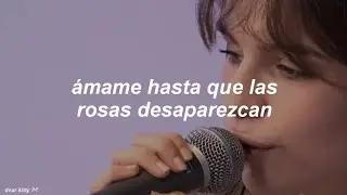 ✦ videoclub - amour plastique | [ en vivo + sub español ]