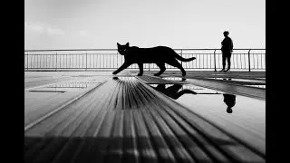 Street Photography, Mudanya