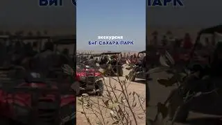 Обзор экскурсии БиГ САХАРА ПАРК. Мото драйв по пустыне Египта. #travel #путешествия #египет #пустыня