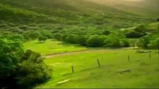 Classic Screamer HD