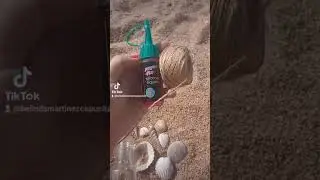 Manualidades con conchas de mar conchitas #SHORTS Sea Shell Crafts Ideas Mermaid beach playa sirena