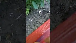Дурдом|Влог 22.07.2023 - я типо порезался