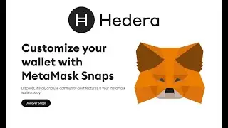 Build with Hedera Wallet Snap