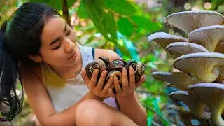 Foraging in the Forest- The Ingenuity and Perseverance 18
