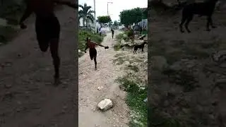 Linchamiento de presunto ladrón en Barranquilla-Colombia