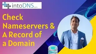 Check Nameservers and A Record of a Domain | DNS Lookup Tool | DNS Checker 