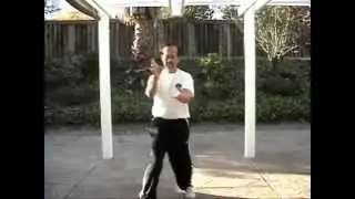 Uechi Ryu - Seisan Bunkai (Non-Traditional) - Henry Thom