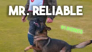 Gage’s Obedience at GSD Nationals 2024 - Haz & Carson REACT 😂