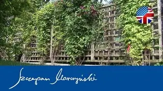 Climbers - green covers for walls and fences