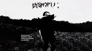 Ethan Ross - DESOLATION (Visualizer)