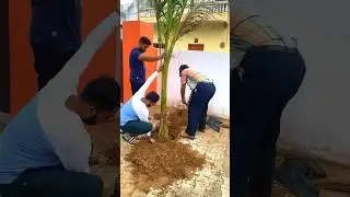 Green Revolution at Sikar Temple: A Plantation Drive 🌱