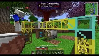 Eine Baumfarm für das Biokraftwerk (mit ACGaming)