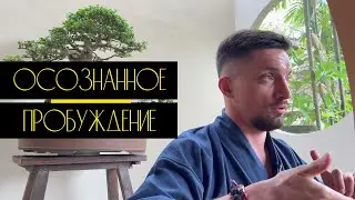 Юрий Кручин ‹ Точка бифуркации ведущая к пробуждению