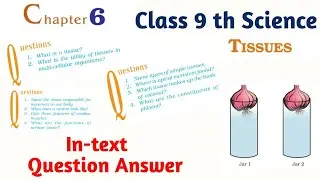 Tissue Class 9 th Science Chapter 6 In-text Question Answer full Explanation