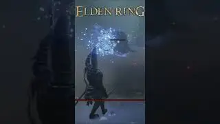 Elden Ring | Idiot playing
