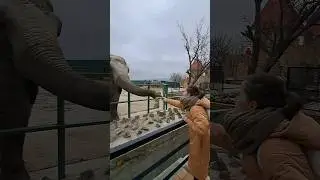 Покормить слонов в Тайгане - ☑️