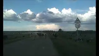 Село Чкаловка, Марксовский район.