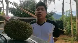 YB Dato Saravanan Beli Durian RM 500 Sebiji