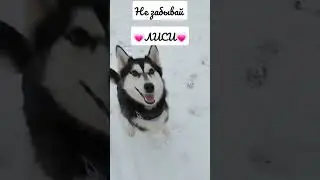 #милашка #хочуврек #не забывай