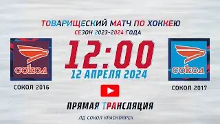 СОКОЛ 2016  -  СОКОЛ 2017    ЛД СОКОЛ (12.04.2024 