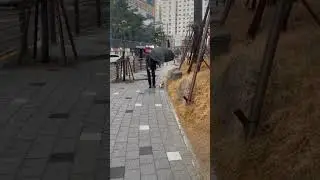 Насколько сильно можно любить этих пушистых существ?😁 