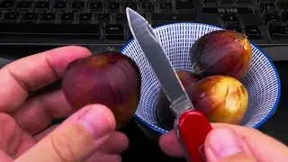 How to eat a Fig with a Victorinox Swiss Army Knife Sak Summer Useful Function