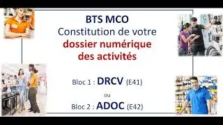 Dossier numérique des activités E41 ou E42 BTS MCO