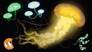 Stream: Bioluminescence