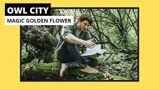Owl City - Magic Golden Flower (Remastered)