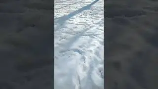 Когда 15 марта, а по ощущениям 44 февраля 🤣🤣🤣