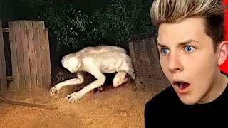 Things Humans Were NEVER Meant To See!